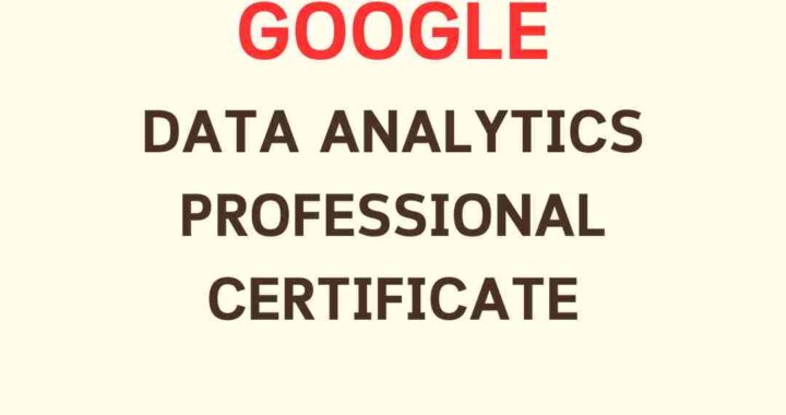 Google Data Analytics Professional Certificate